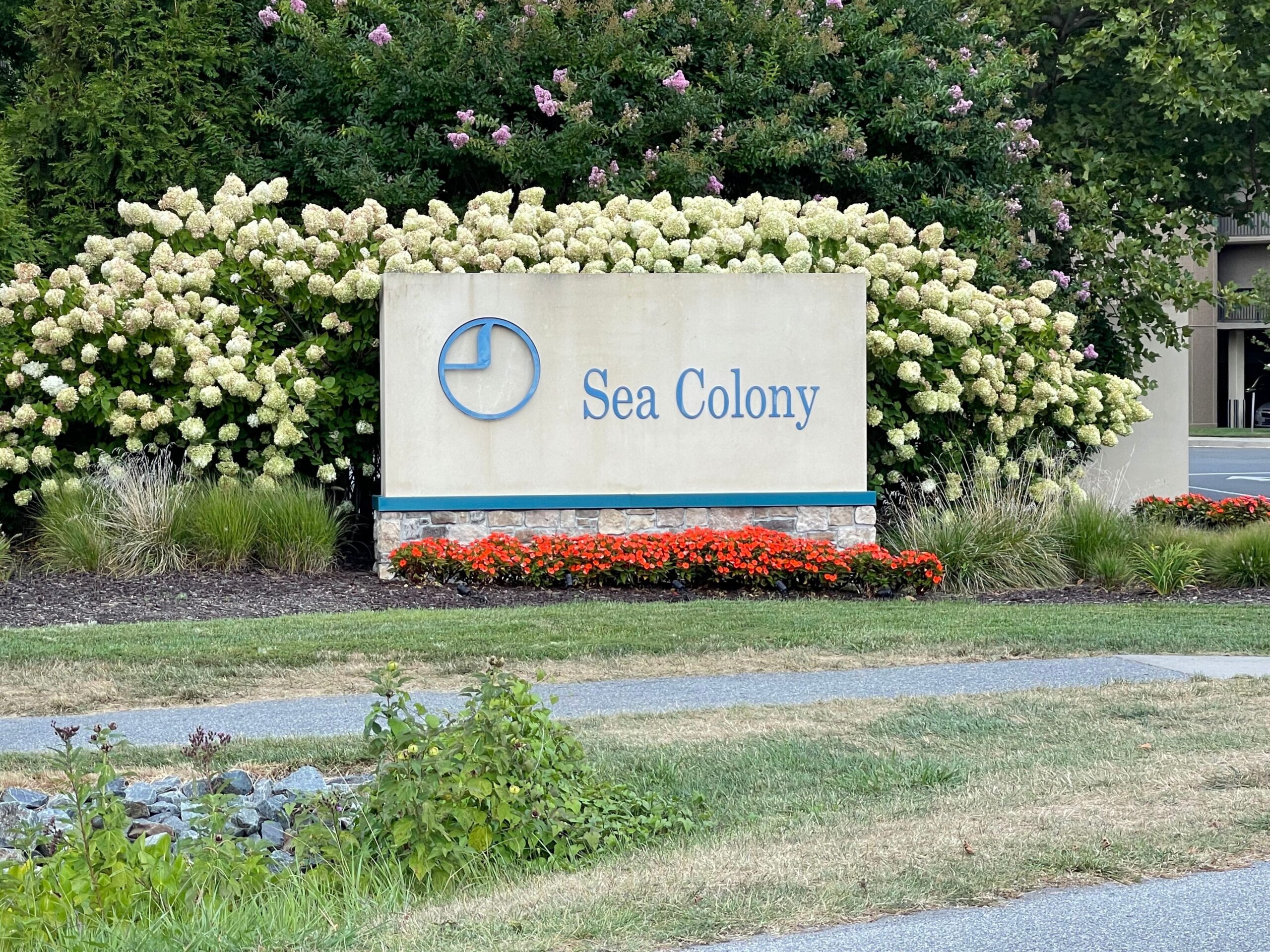 Sea Colony Sign